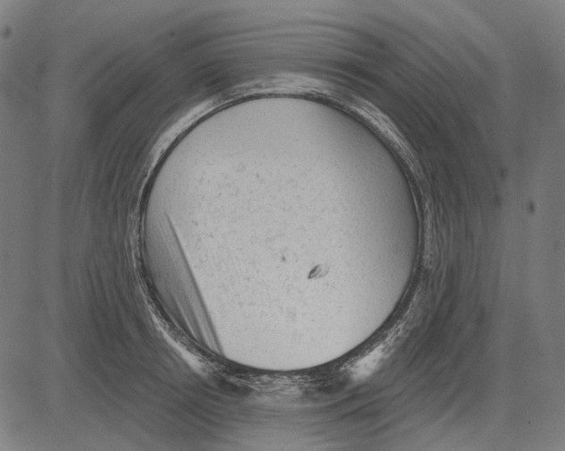 X0000081460850200702021805