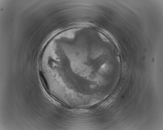 X0000081460851200702021805