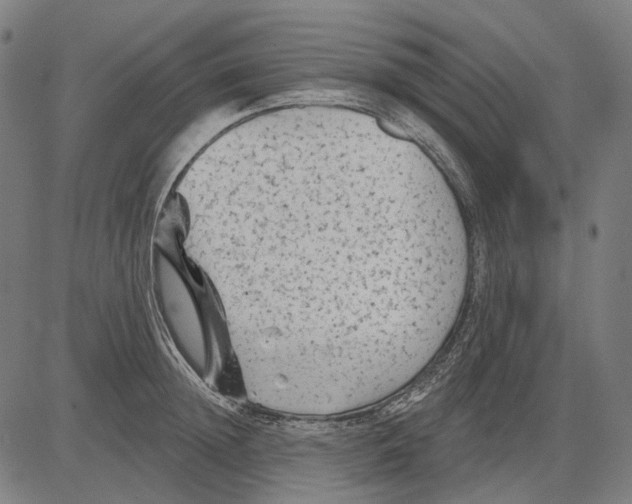 X0000081460852200702021805