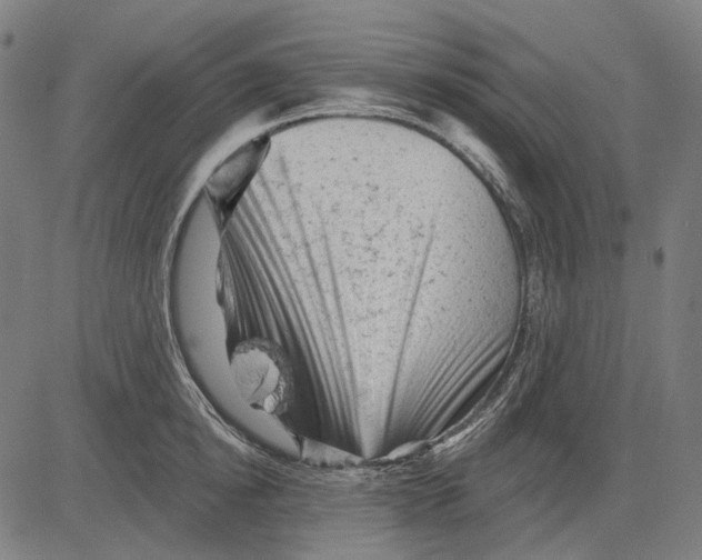 X0000081460854200702021805