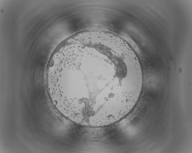 X0000081460856200702021805