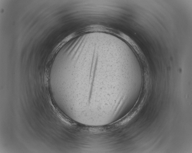 X0000081460857200702021805