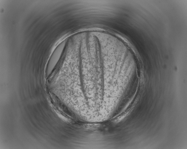 X0000081460858200702021806