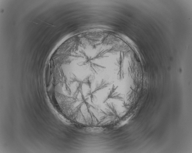 X0000081460859200702021806