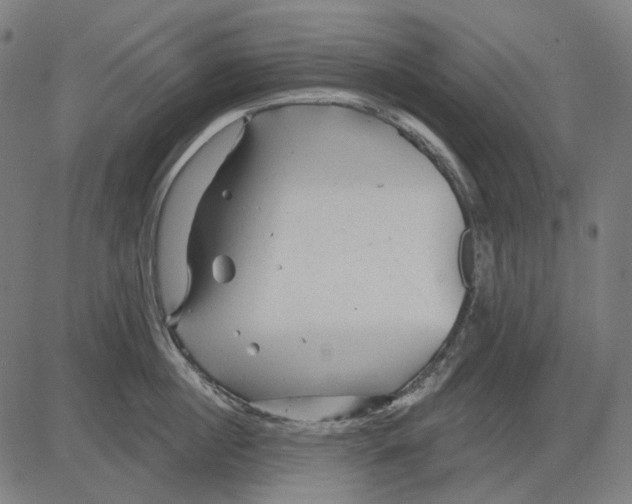 X0000081460860200702021806