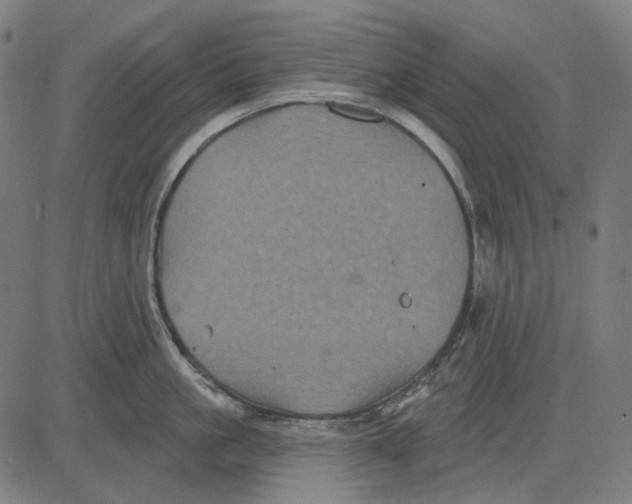 X0000081460861200702021806