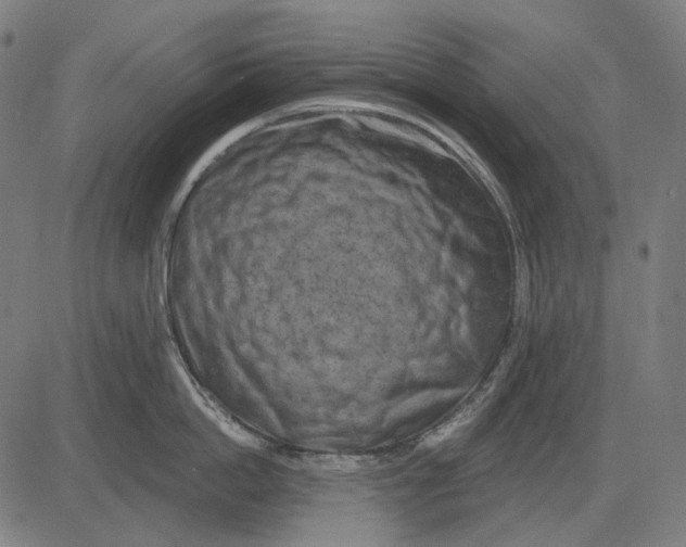 X0000081460862200702021806