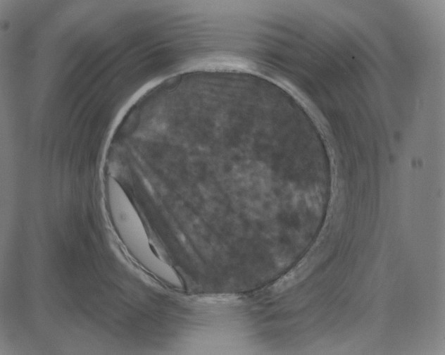 X0000081460864200702021806