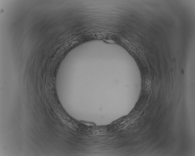 X0000081460865200702021805