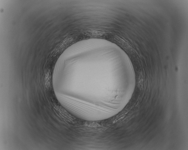 X0000081460866200702021805