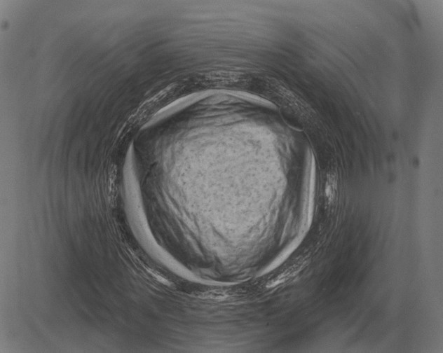 X0000081460867200702021805