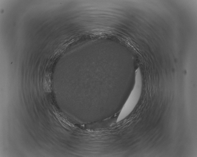 X0000081460868200702021805