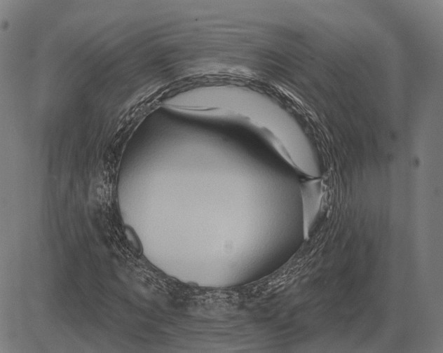 X0000081460869200702021805