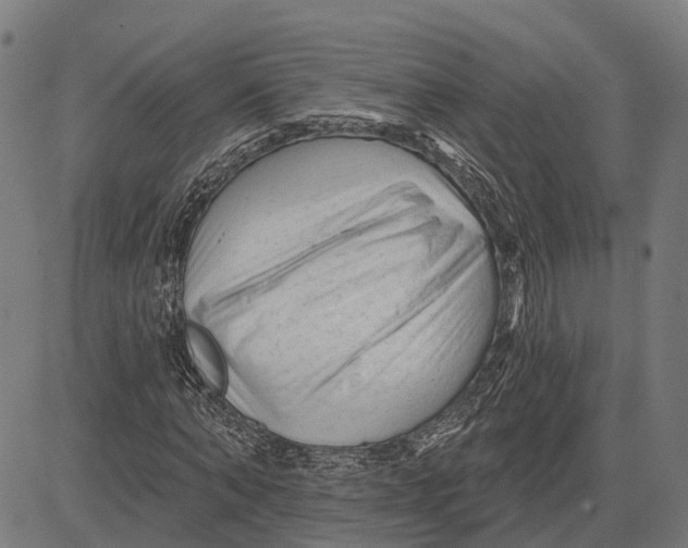 X0000081460870200702021805