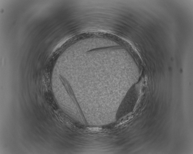 X0000081460871200702021805