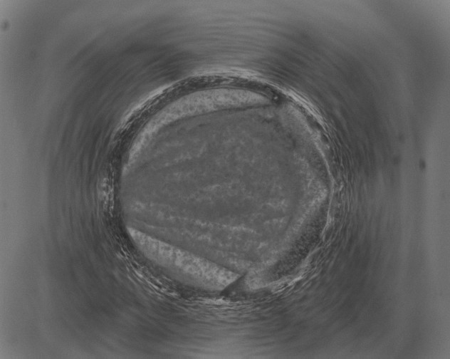 X0000081460872200702021805