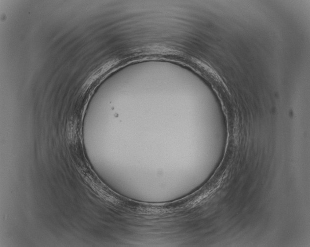 X0000081460873200702021805