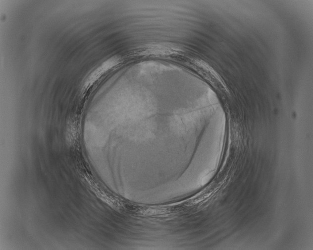 X0000081460874200702021805