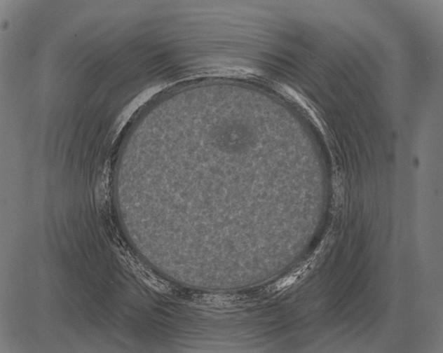 X0000081460875200702021805