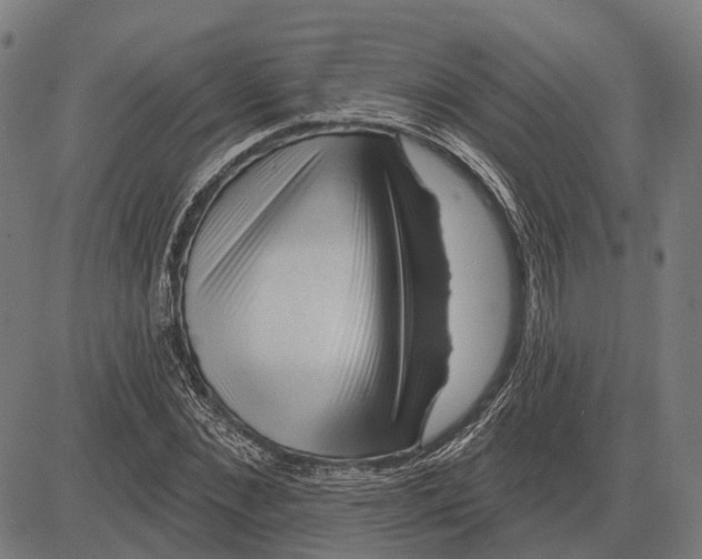 X0000081460876200702021805