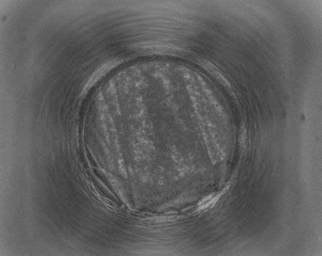 X0000081460877200702021805