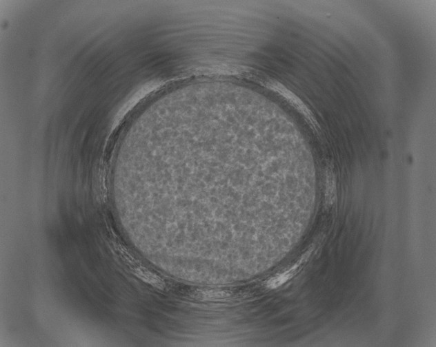 X0000081460878200702021805