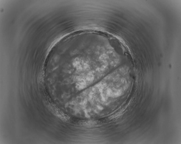 X0000081460879200702021805