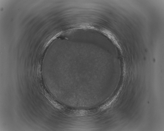 X0000081460881200702021805