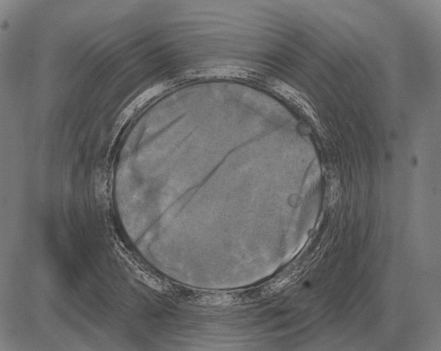 X0000081460882200702021805