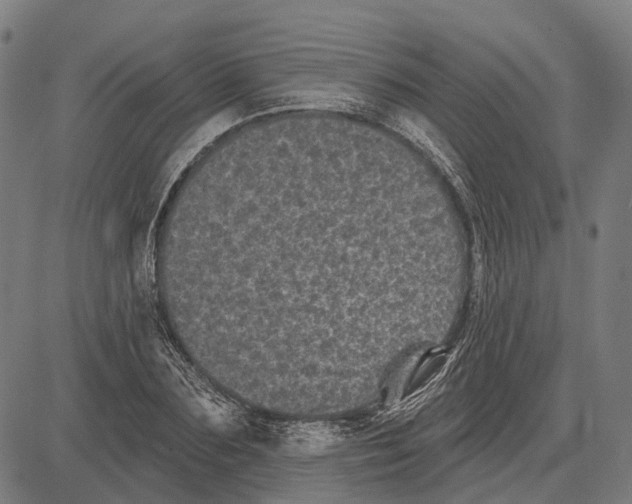 X0000081460883200702021805