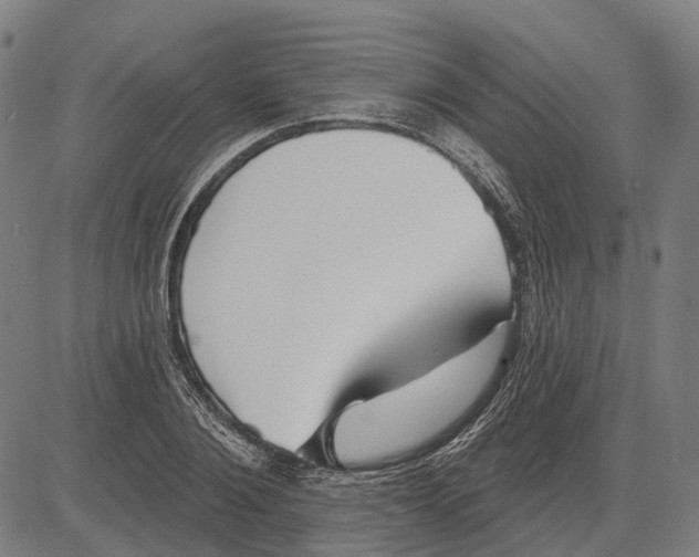 X0000081460884200702021805