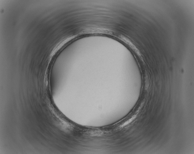 X0000081460885200702021805