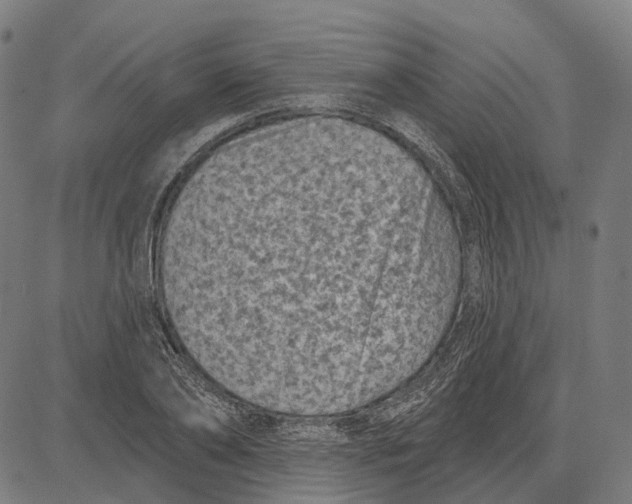 X0000081460886200702021804