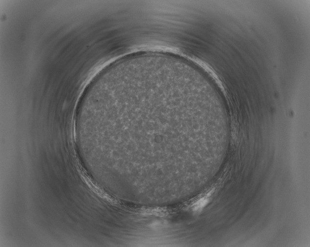 X0000081460887200702021804