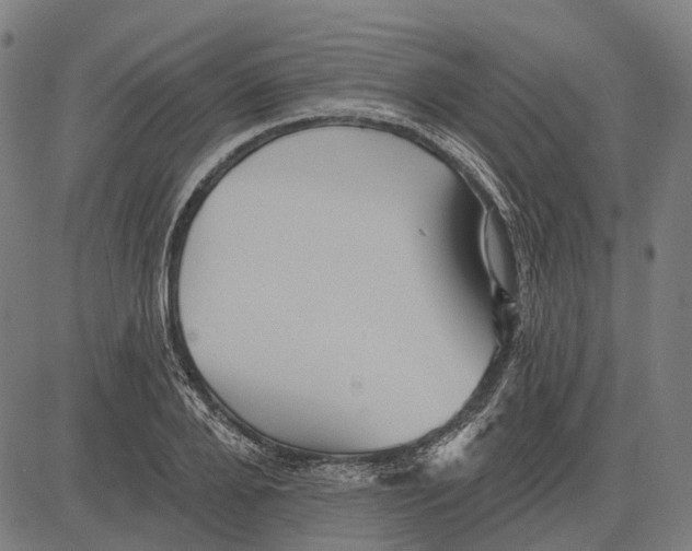 X0000081460888200702021804