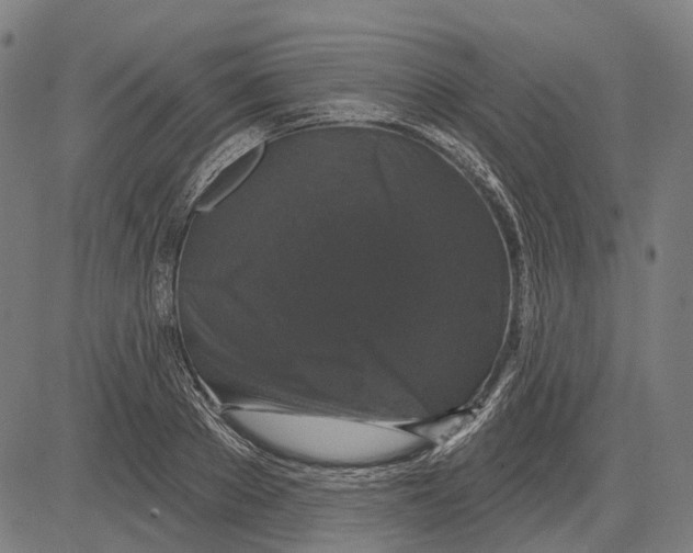 X0000081460889200702021804