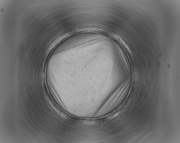 X0000081460890200702021804