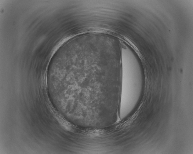 X0000081460891200702021804