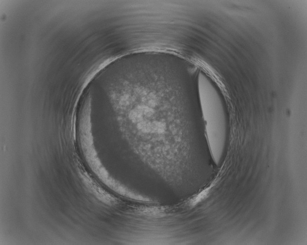 X0000081460892200702021804