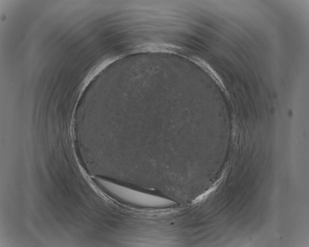 X0000081460893200702021804