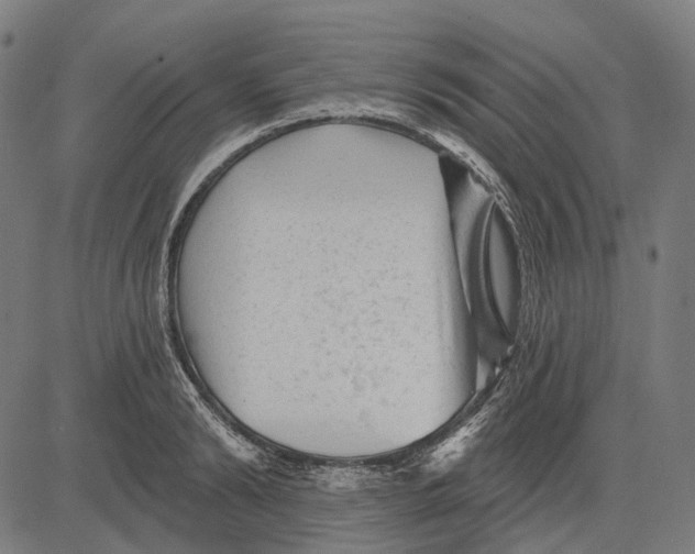 X0000081460894200702021804