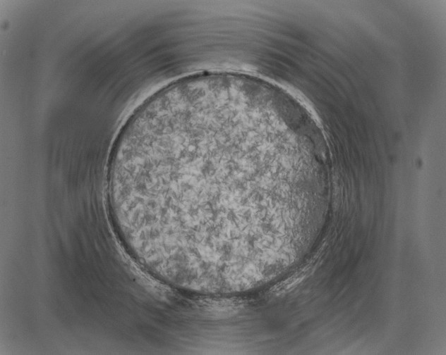 X0000081460895200702021804