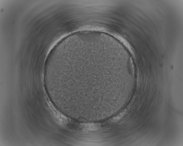 X0000081460896200702021804