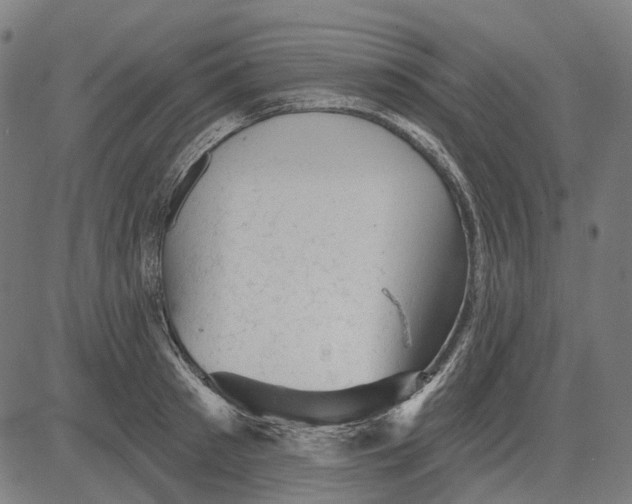 X0000081460897200702021804