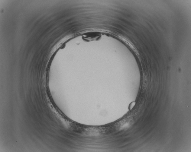 X0000081460898200702021804