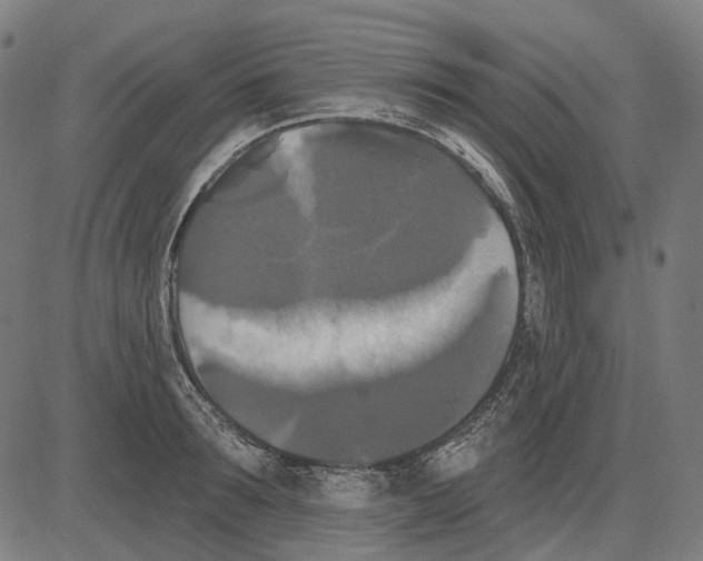 X0000081460899200702021804