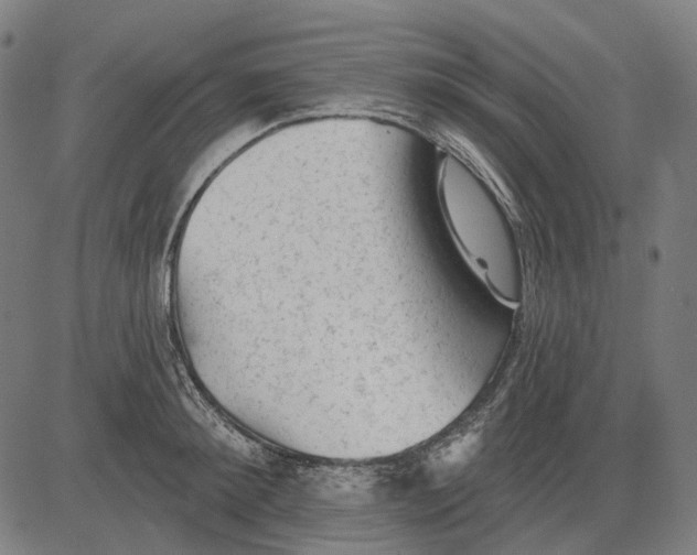 X0000081460900200702021804