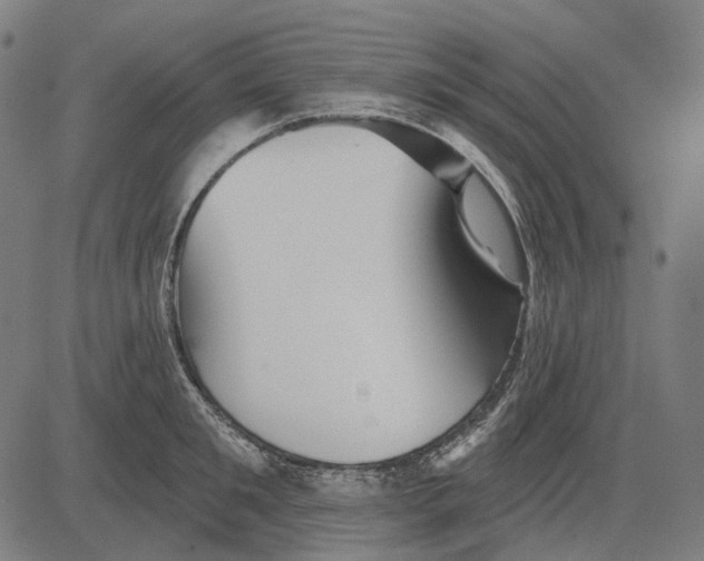 X0000081460901200702021804