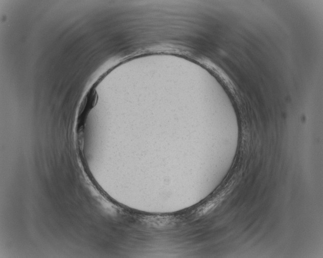 X0000081460902200702021804