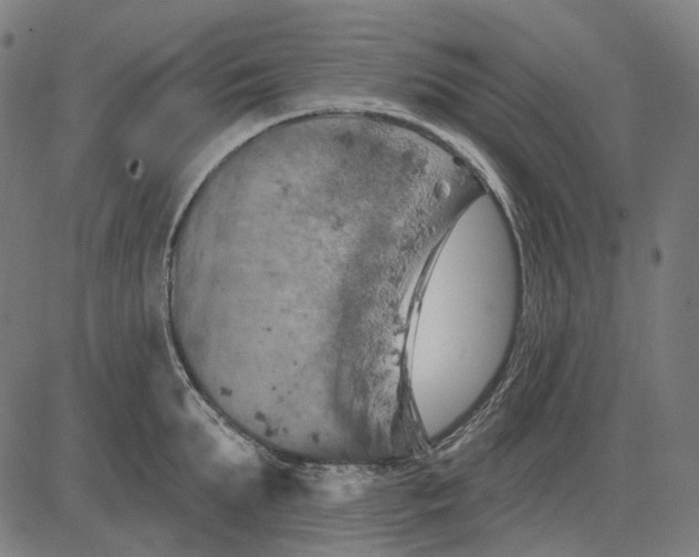 X0000081460903200702021804